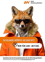 fuchs