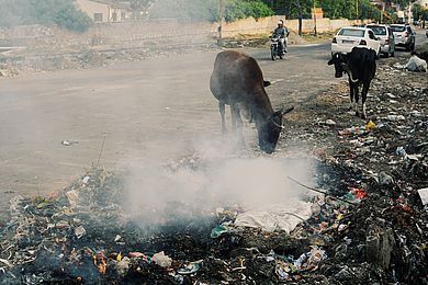 Typische Szenen aus Indien