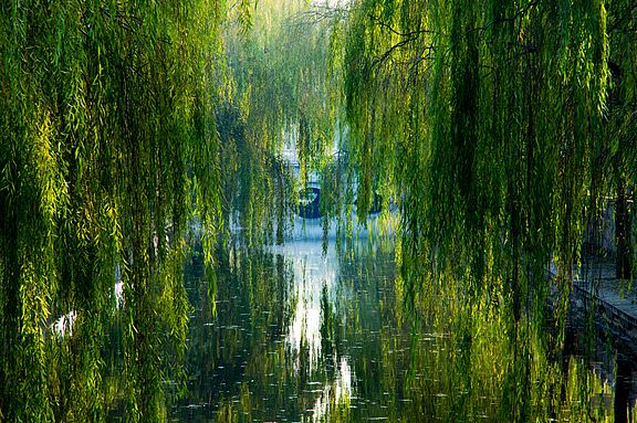 Green River