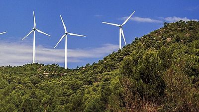 Umweltmanagementsysteme