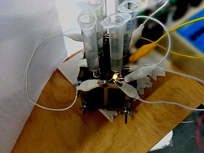 100 ml Abwasser reichen den Mikroorganismen um eine LED zum Leuchten zu bringen.