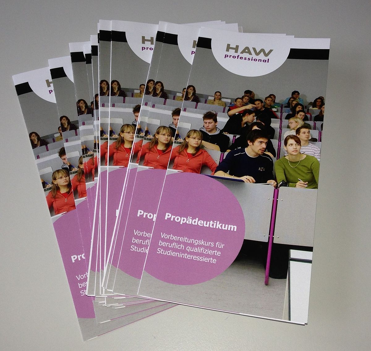 Propädeutikum Ab 2014 berufsbegleitend möglich