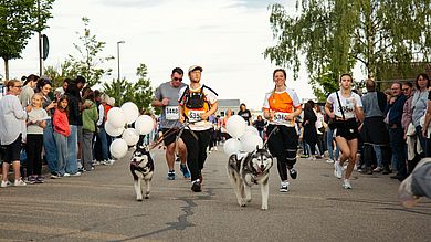 Und auch die Hunde zweier Mitarbeitender gingen für die OTH Amberg-Weiden mit an den Start