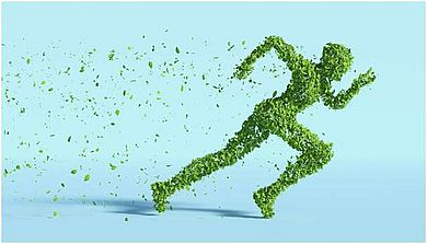 T-BRiCKS: Starten Sie Ihre Weiterbildung in Nachhaltigkeit und Digitalisierung