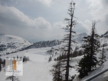 2014 SS OTH Wintergames klein 07