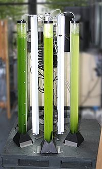 Photobioreaktor zur Algenzucht