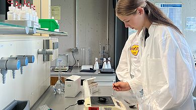 Analyse Bodenprobe