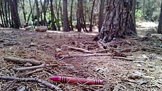 Umweltverschmutzung Malta