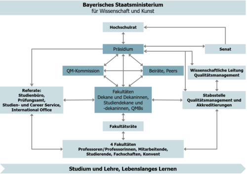 Organizational chart quality management OTH Amberg-Weiden