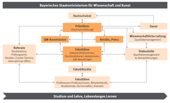 Organigramm Qualitätsmanagement OTH Amberg-Weiden