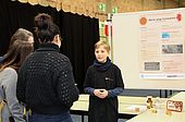 IMG 1548