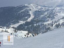 Zur Bildergalerie