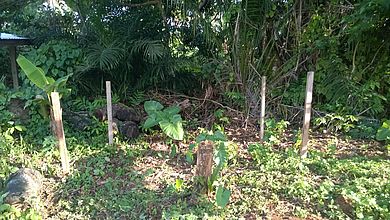 Abstecken des Komposthaufens