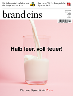Cover brand eins