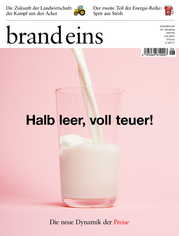 Cover brand eins