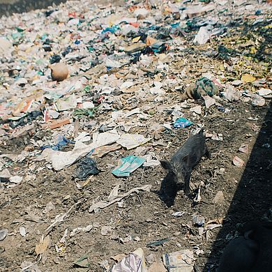 Typische Szenen aus Indien