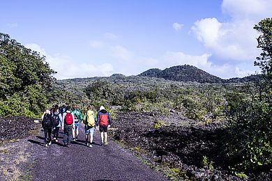 Landschaft Neuseeland