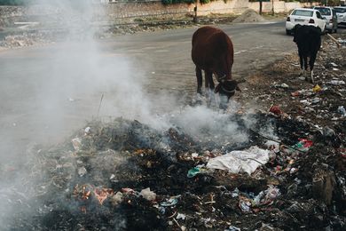 Müllverbrennung in Indien