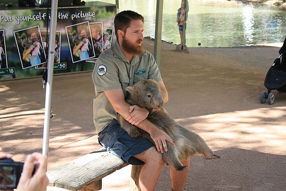 Wombat!