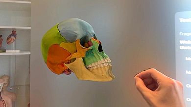 Anatomie-App: Im vorgestellten Semesterprojekt entwickelten Studierende eine Anatomie-App für die Apple Vision Pro. Ein eingescanntes 3D-Modell eines Sprengschädels wurde dabei als interaktives Element in die App integriert.