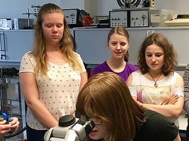 Der Blick ins Mikroskop gab Auskunft über den Bakterientyp.