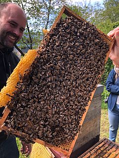 Hobbyimker Tobias König stellt die Bienen am OTH-Campus zur Verfügung