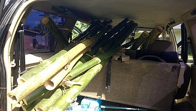 Auto voll mit Bambus Rohren