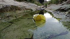 Umweltverschmutzung Malta