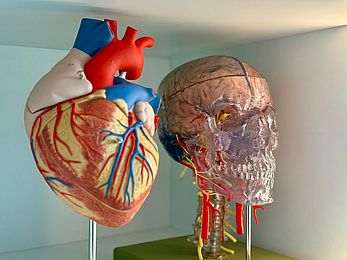 WhatsApp Image 2026-03-17 at 09.38.22.jpeg