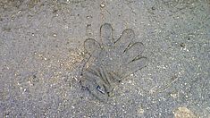 Umweltverschmutzung Malta