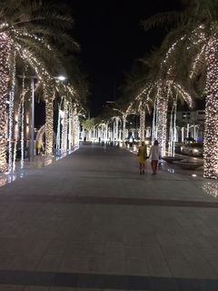 Sheikh Mohammed bin Rashid Blvd