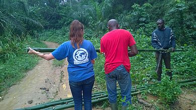 Bambus ernten ist Teamarbeit