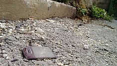 Umweltverschmutzung Malta