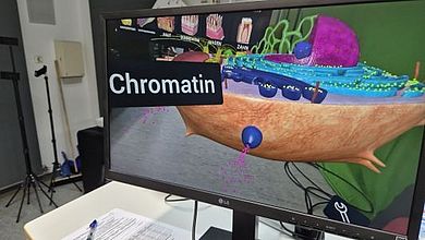 Mikroskopische Inhalte im Raum: Zellen und Chromatin können virtuell vergrößert und im Detail untersucht werden.