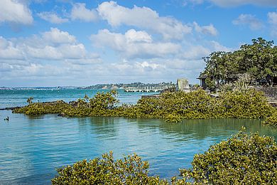 Landschaft mit Wasser in Neuseeland