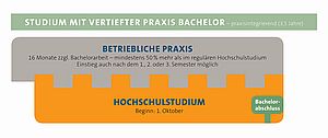 Modell für Studium mit vertiefter Praxis