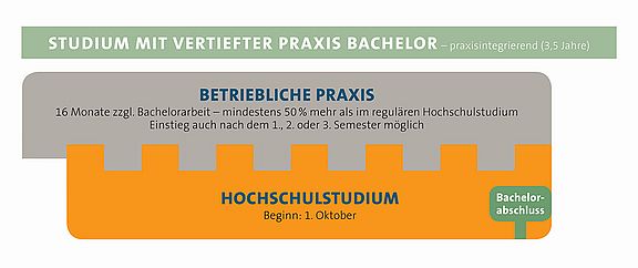 Modelldarstellung Studium mit vertiefter Praxis Studium mit vertiefter Praxis Bachelor auf 3,5 Jahre praxisintegrierend. 16 Monate Bachelorstudium und paralleles Hochschulstudium.