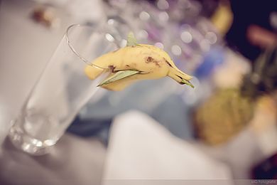 2017-18 WS OTH Cocktailforschung 33