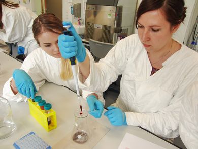 Die internationalen Studierenden sammelten Erfahrungen bei mikrobiologischen Versuchen. 