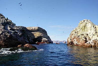 Paracas - Islas Ballestas