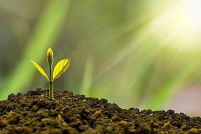 Governance, Wirtschaftsethik und Nachhaltigkeit