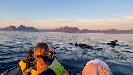 Forschungsteam im Motorboot sichten Wale