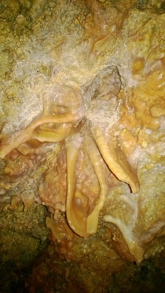 Höhlen in Malta und Gozo