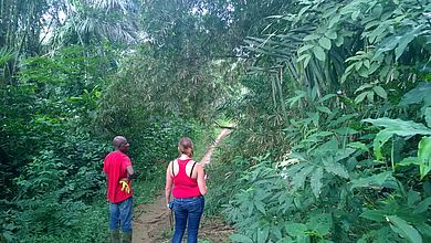 Auf der Suche nach geeignetem Bambus