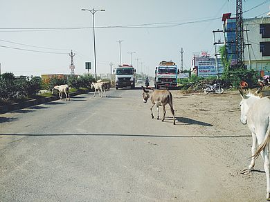 Typische Szenen aus Indien