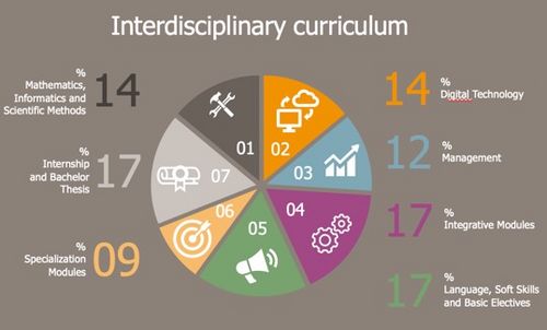 Shares of the 7 module groups comprising Digital Technology and Management