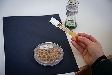 Die Studierenden wollen das Anfallprodukt BSG (Biertreber) upcyclen