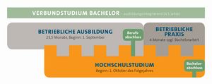 Verbundsstudiumsgrafik für mit den 3 Säulen: Betriebliche Ausbildung (23,5 Monate), Betriebliche Praxis (4 Monate) und parallelem Hochschulstudium.