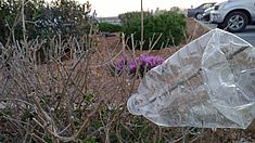 Umweltverschmutzung Malta