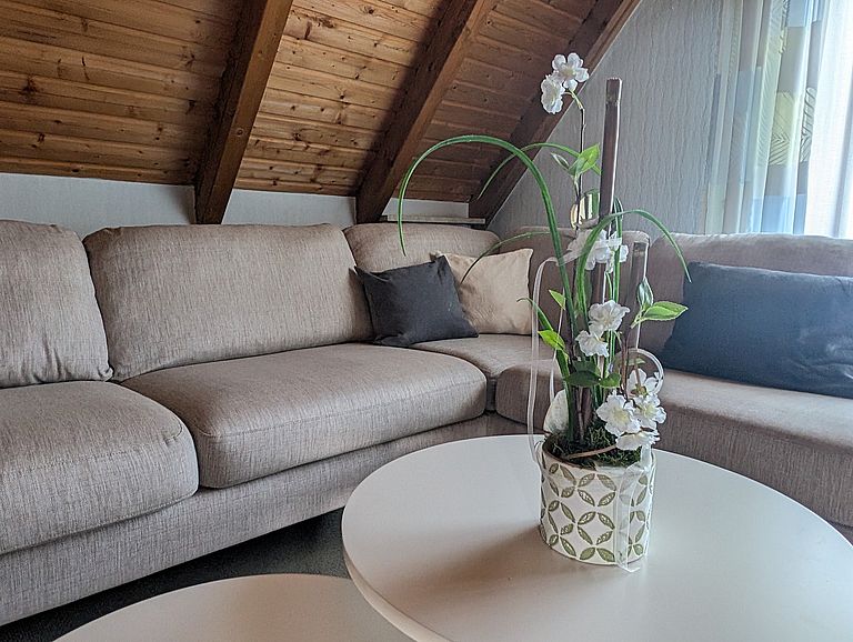Wohnzimmer Möbliertes Wohnzimmer